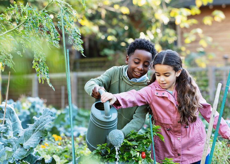 picture-books-about-the-garden